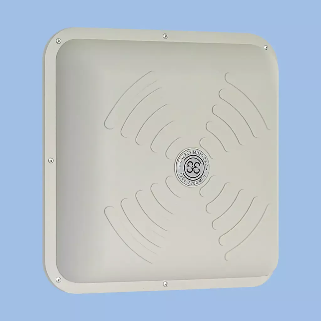 antwhite1