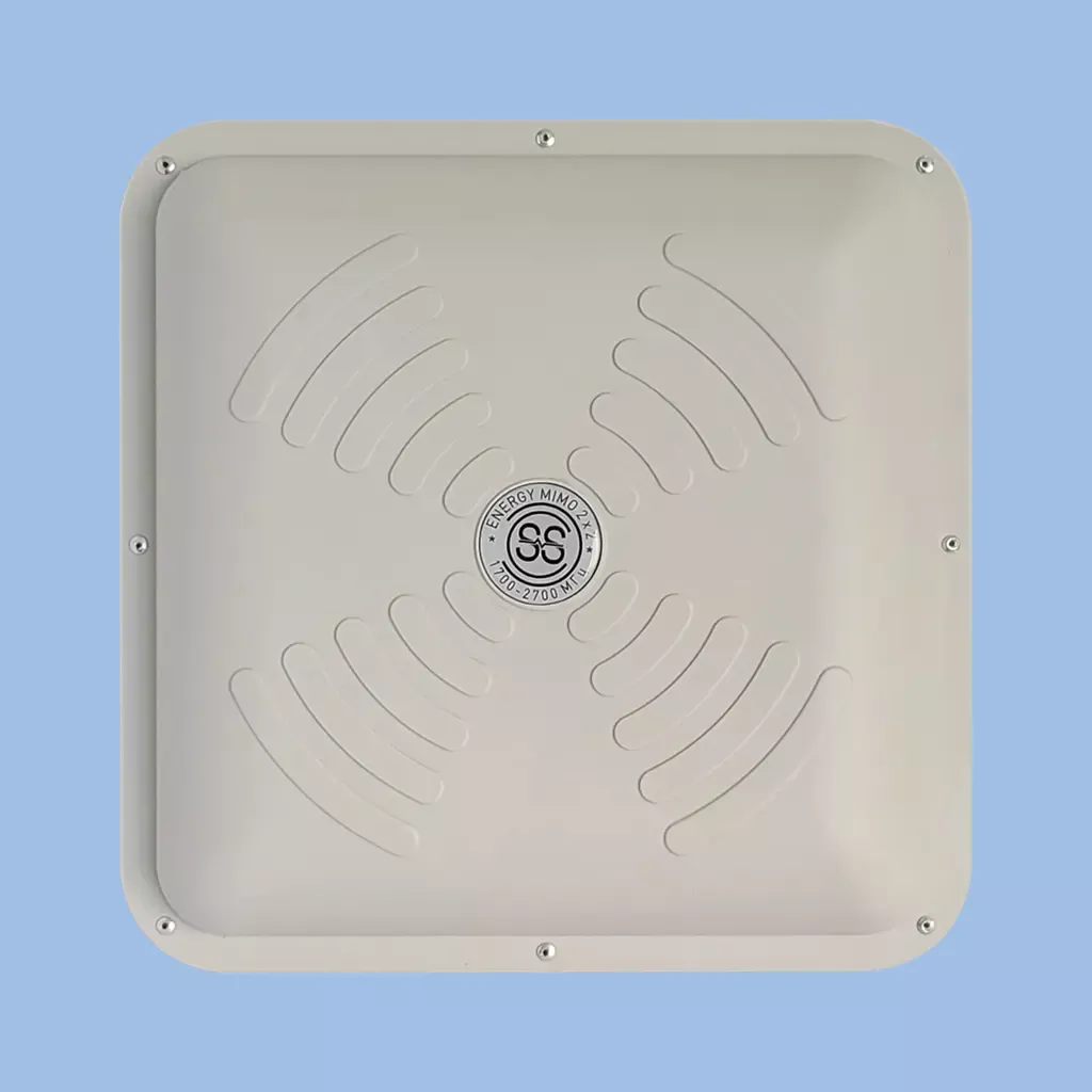 antwhite2